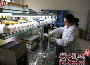 河南金百合 以微觀世界探秘驅動生物科技創新，開拓市場營銷新藍海